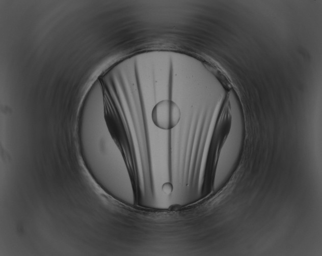 X0000090501434200708031159