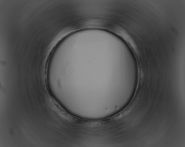 X0000090501435200708031159