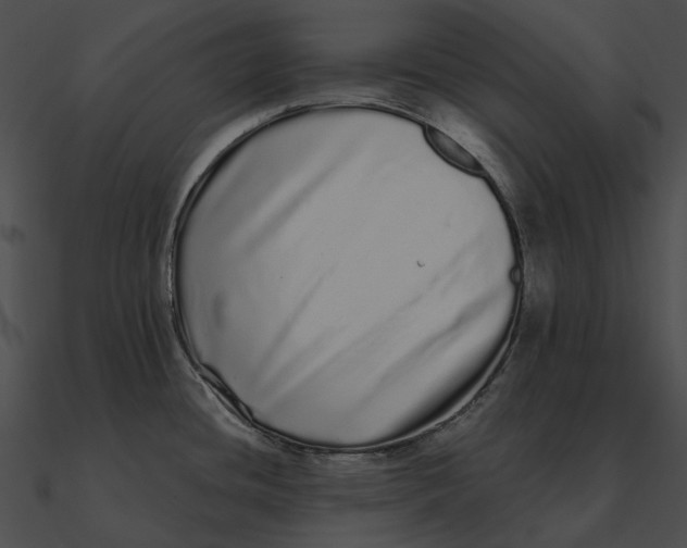 X0000090501436200708031159