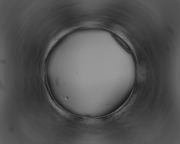 X0000090501437200708031159