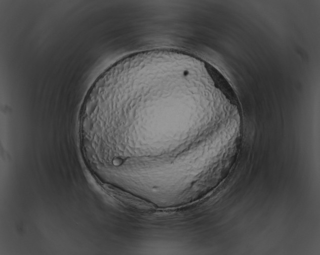 X0000090501439200708031159