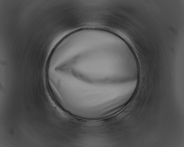 X0000090501440200708031159