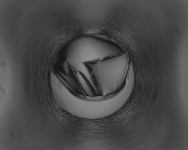 X0000090501441200708031158