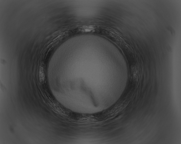 X0000090501442200708031158