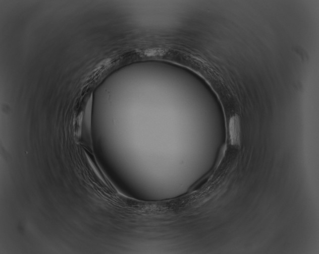 X0000090501443200708031158