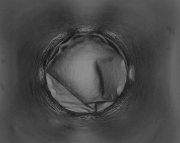 X0000090501444200708031158