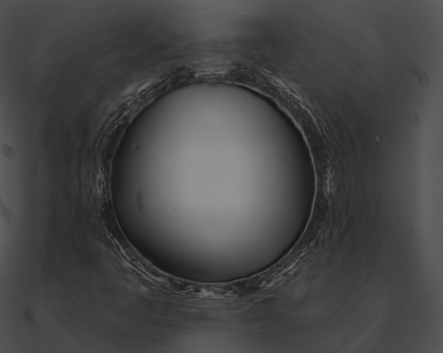 X0000090501445200708031158