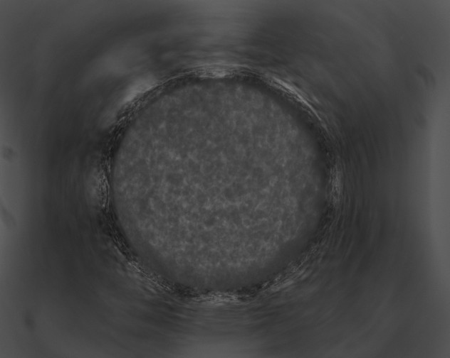 X0000090501446200708031158