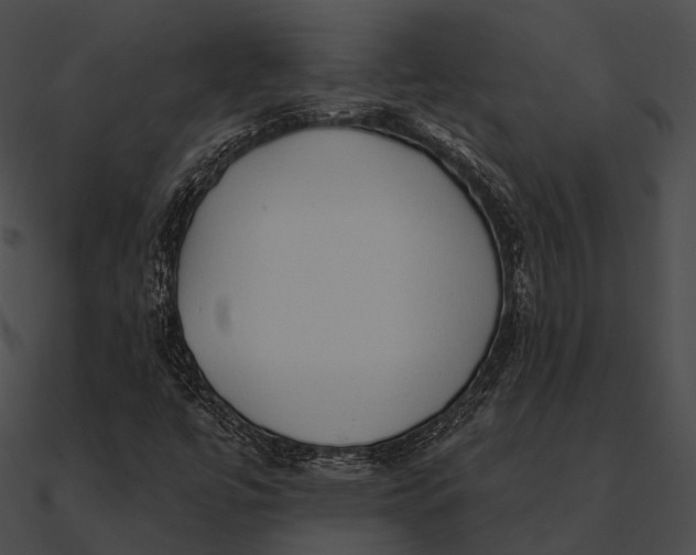 X0000090501447200708031158