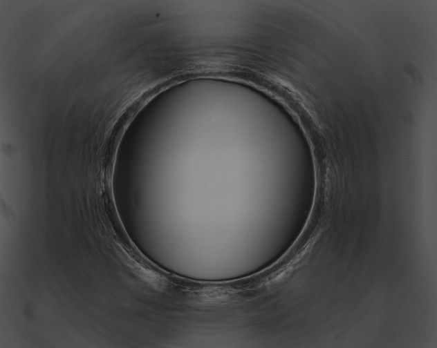 X0000090501449200708031158