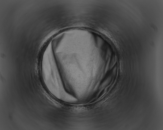 X0000090501452200708031158