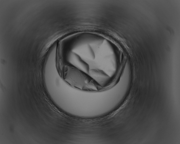 X0000090501453200708031158