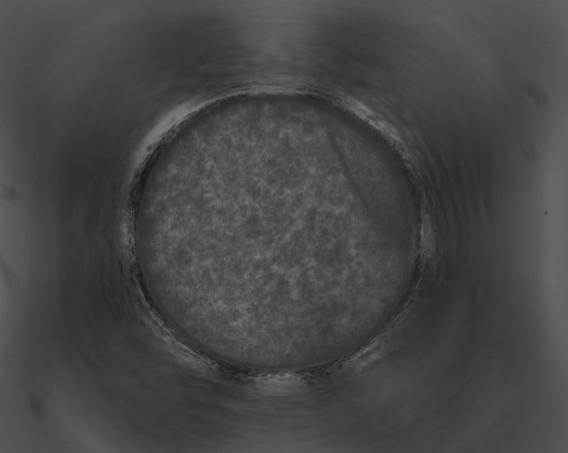 X0000090501454200708031158