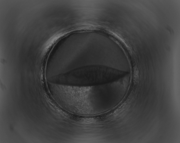 X0000090501455200708031158