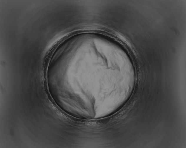 X0000090501456200708031158