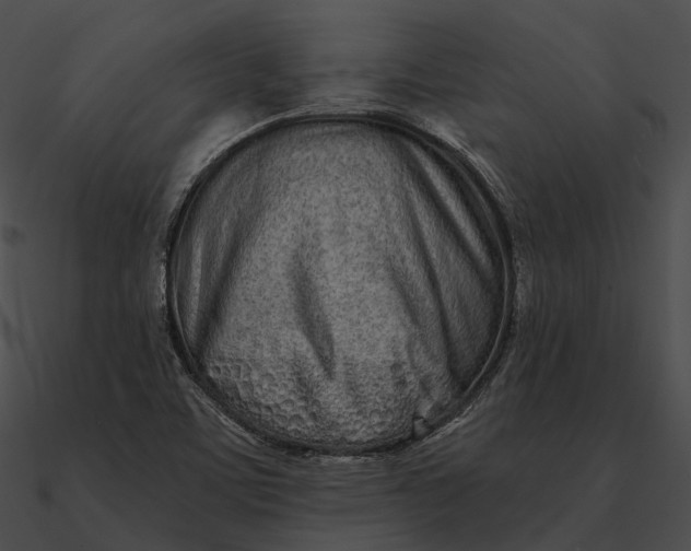 X0000090501459200708031158