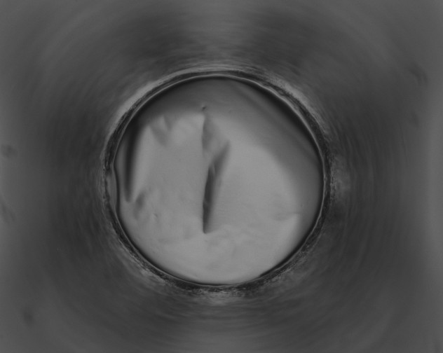 X0000090501460200708031158