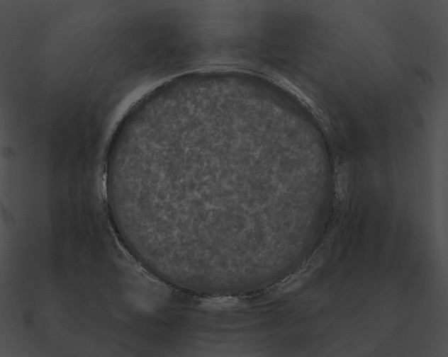 X0000090501462200708031158