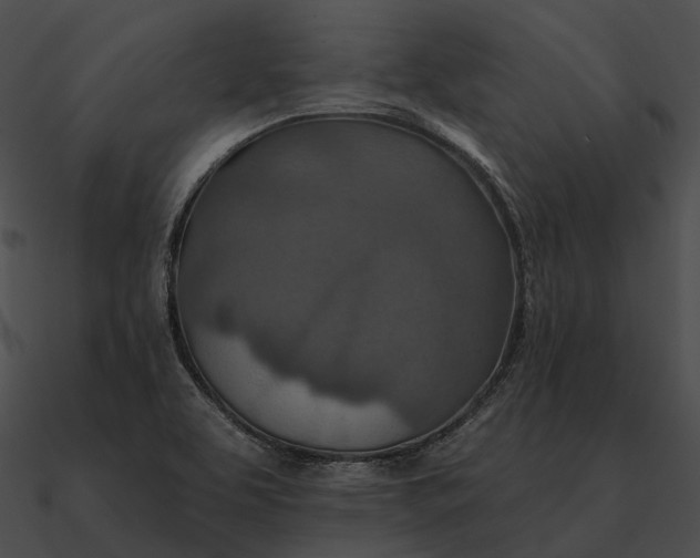 X0000090501463200708031158