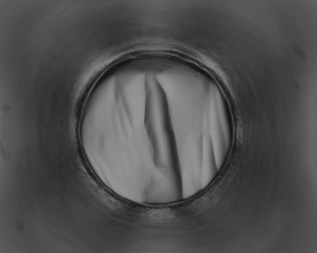 X0000090501464200708031158