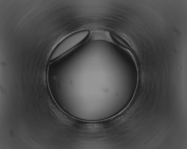 X0000090501465200708031158