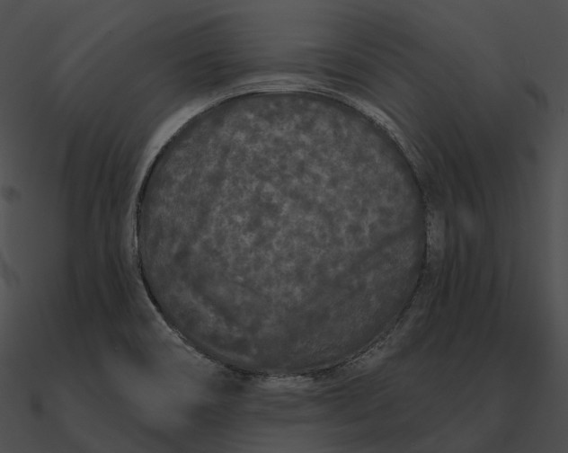 X0000090501466200708031158