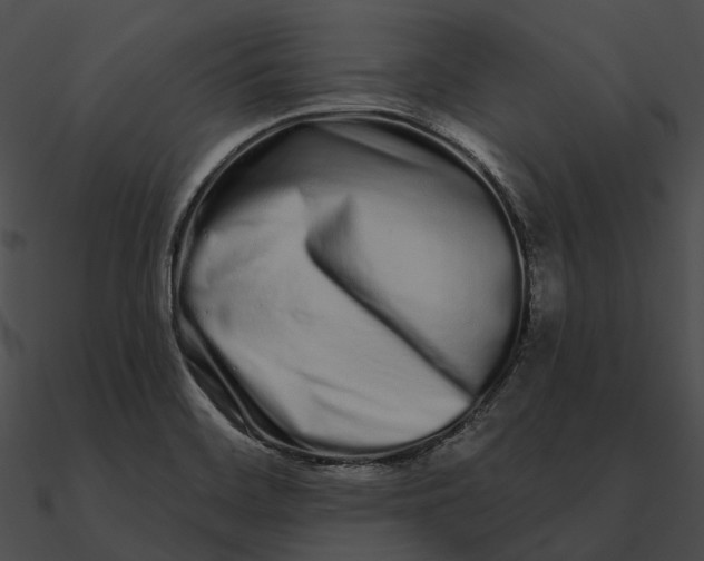 X0000090501468200708031158