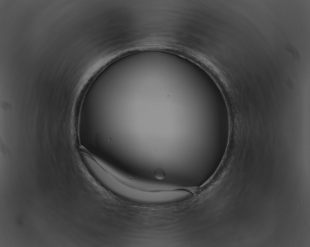 X0000090501469200708031158