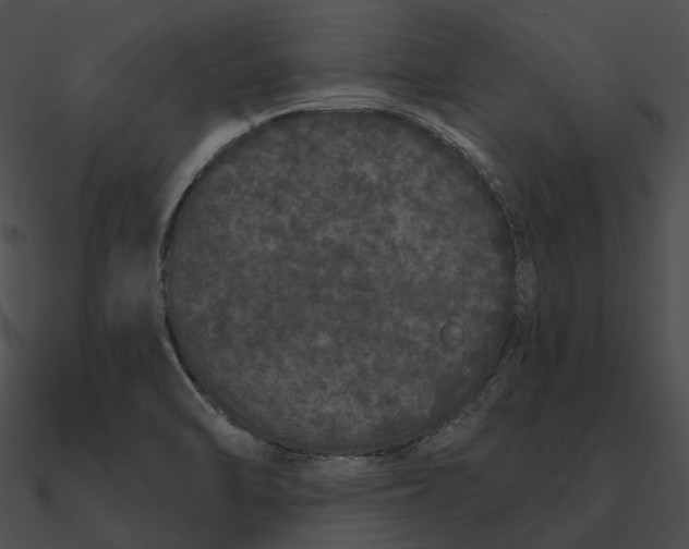 X0000090501470200708031158