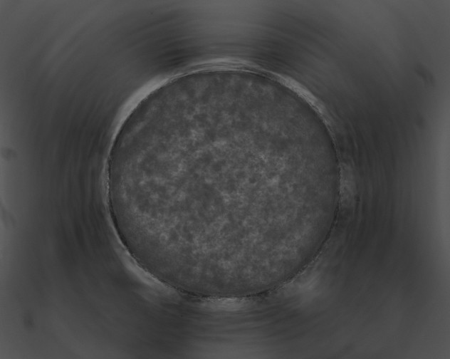 X0000090501474200708031158