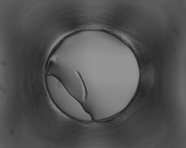 X0000090501476200708031158