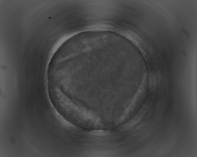 X0000090501478200708031157