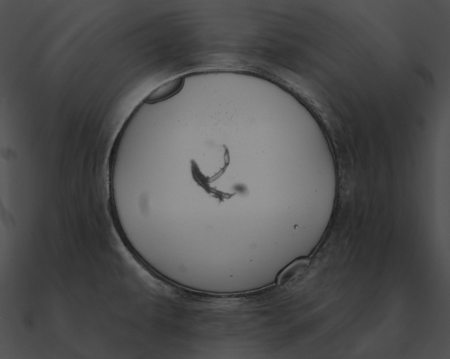 X0000090501479200708031157