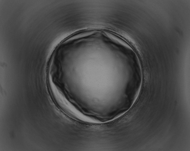 X0000090501480200708031157