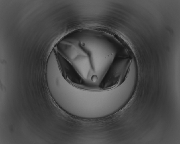 X0000090501481200708031157