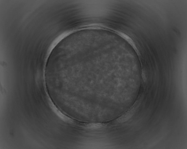 X0000090501482200708031157