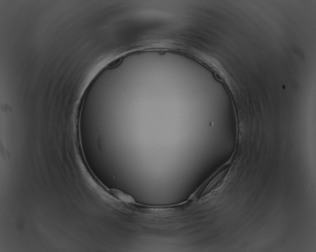 X0000090501483200708031157