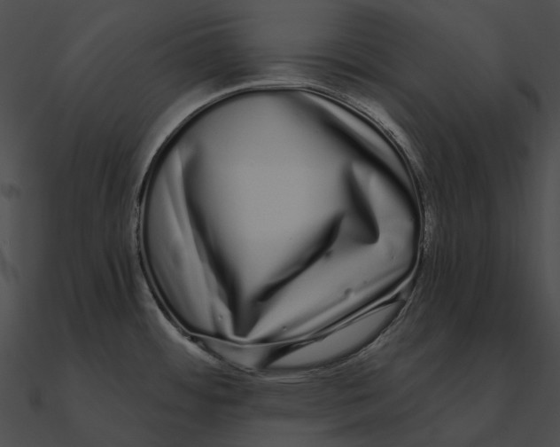 X0000090501484200708031157