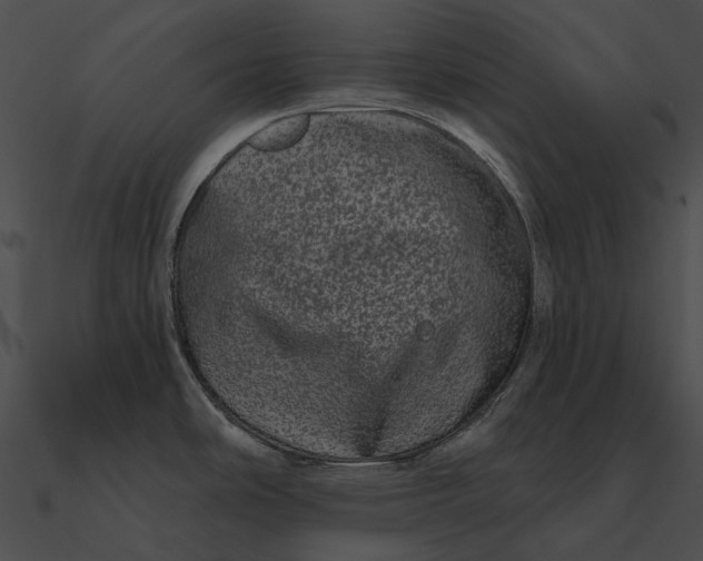 X0000090501486200708031157