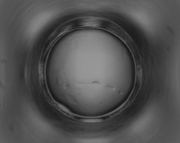 X0000090501487200708031157