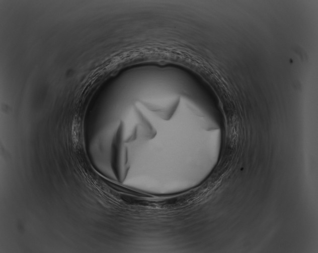 X0000090501490200708031157