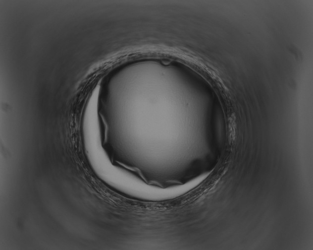 X0000090501494200708031157