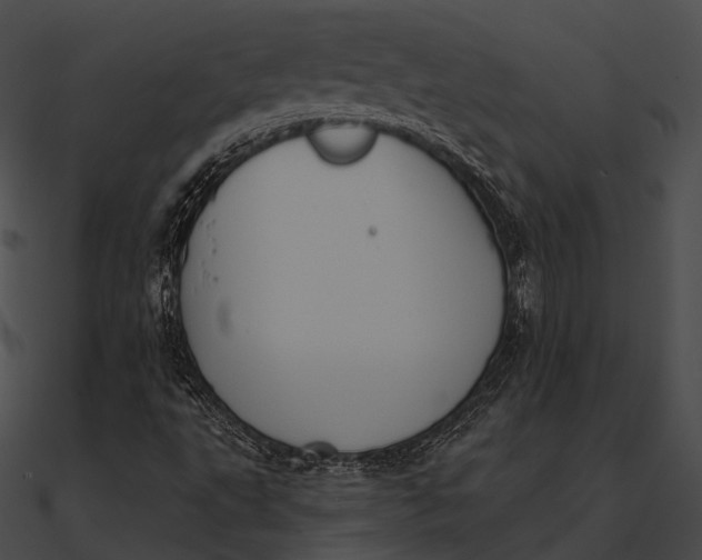 X0000090501495200708031157