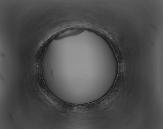 X0000090501496200708031157