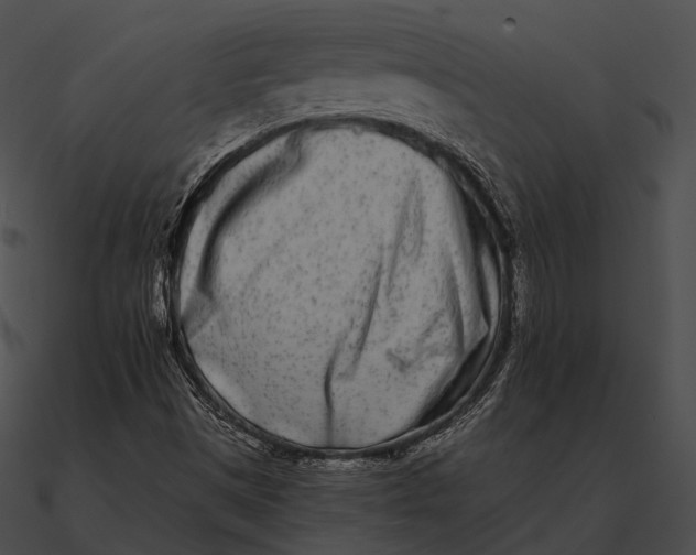 X0000090501497200708031157