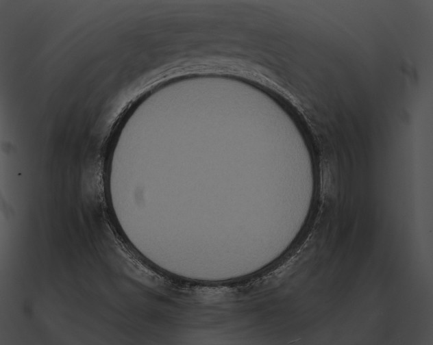 X0000090501498200708031157