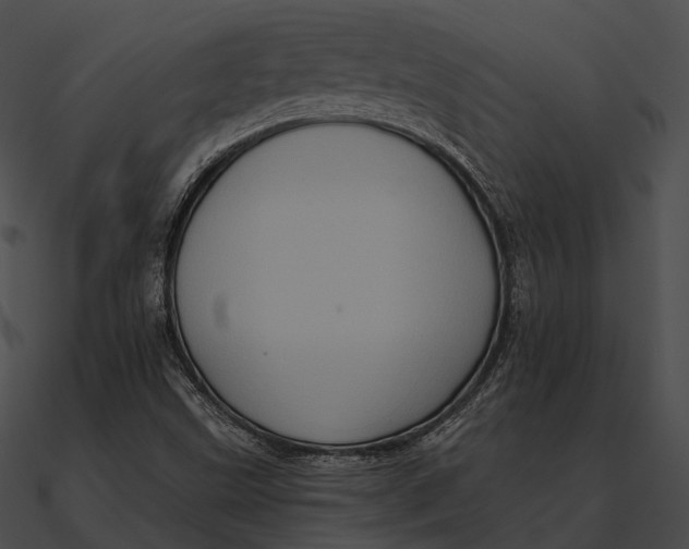 X0000090501499200708031157