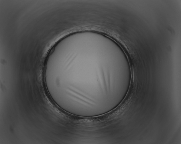 X0000090501500200708031157