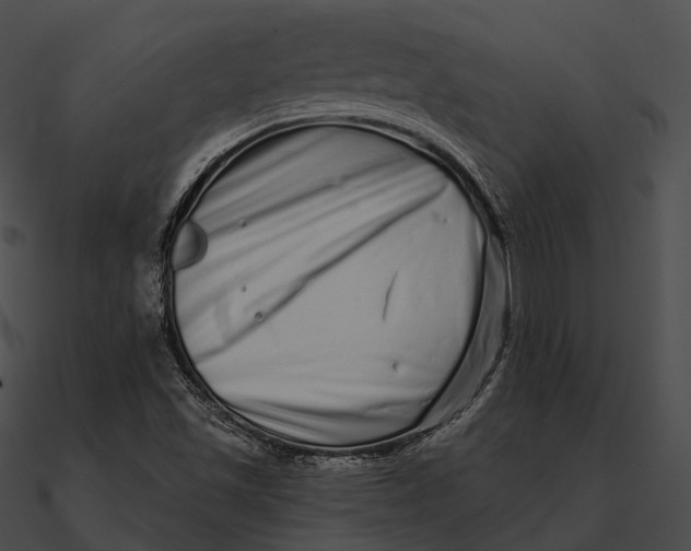 X0000090501501200708031157