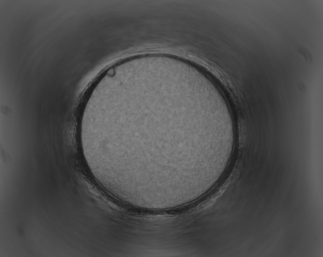 X0000090501502200708031157